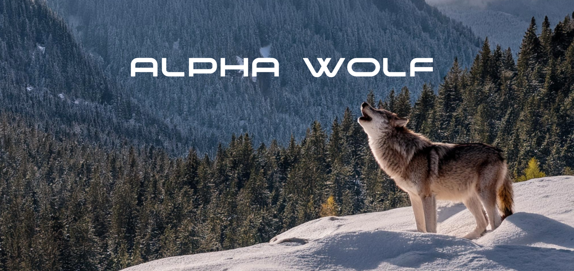 Alpha Wolf RVs